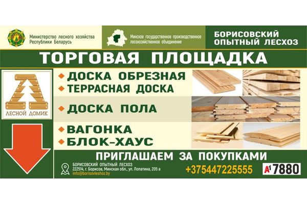 Борисовский опытный лесхоз открыл торговую площадку под брендом 